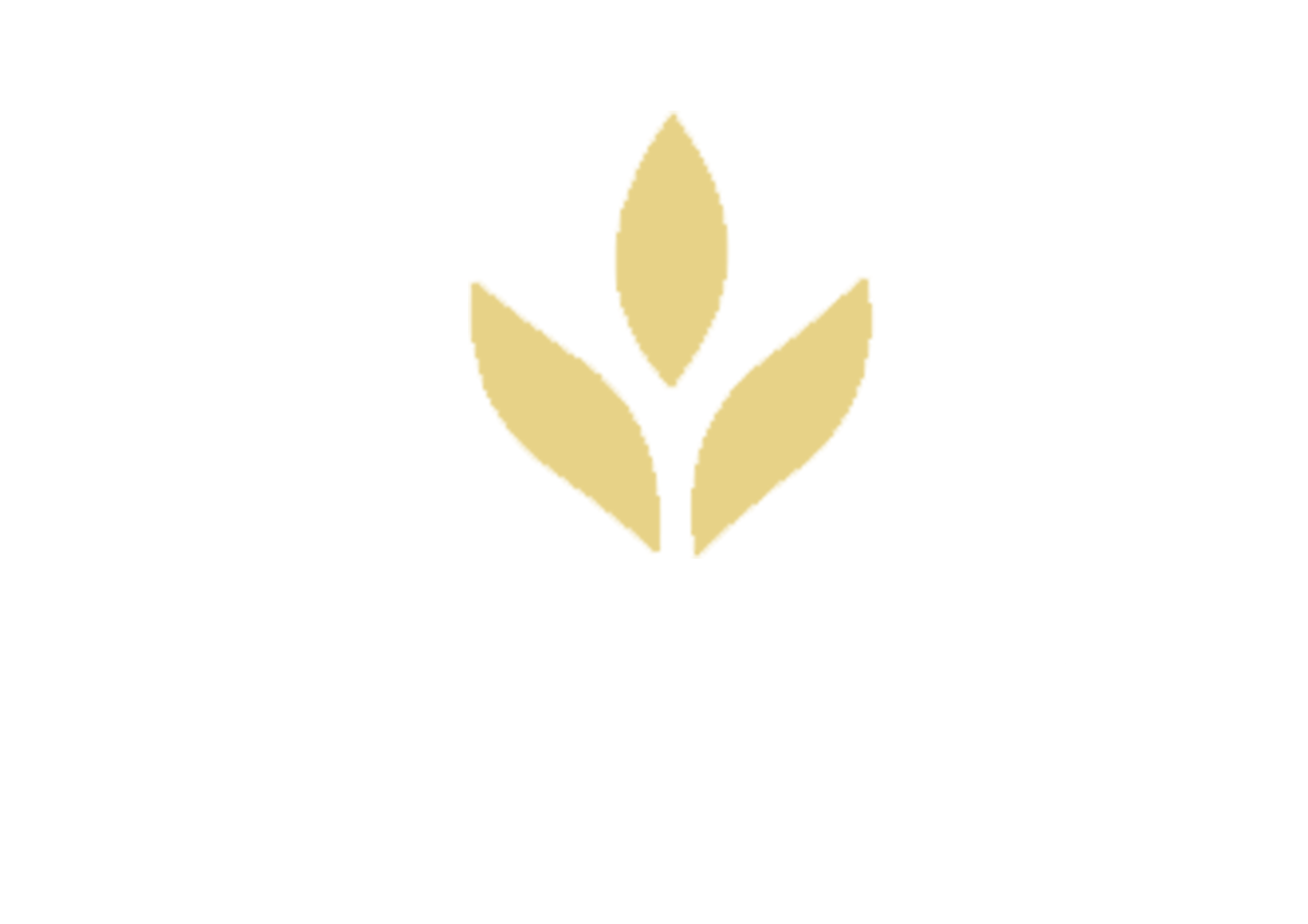 Vasantham Wedding Castle Logo